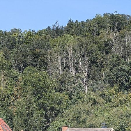 Ferienwohnung Mit Ausblick In Wimmelburg Extérieur photo