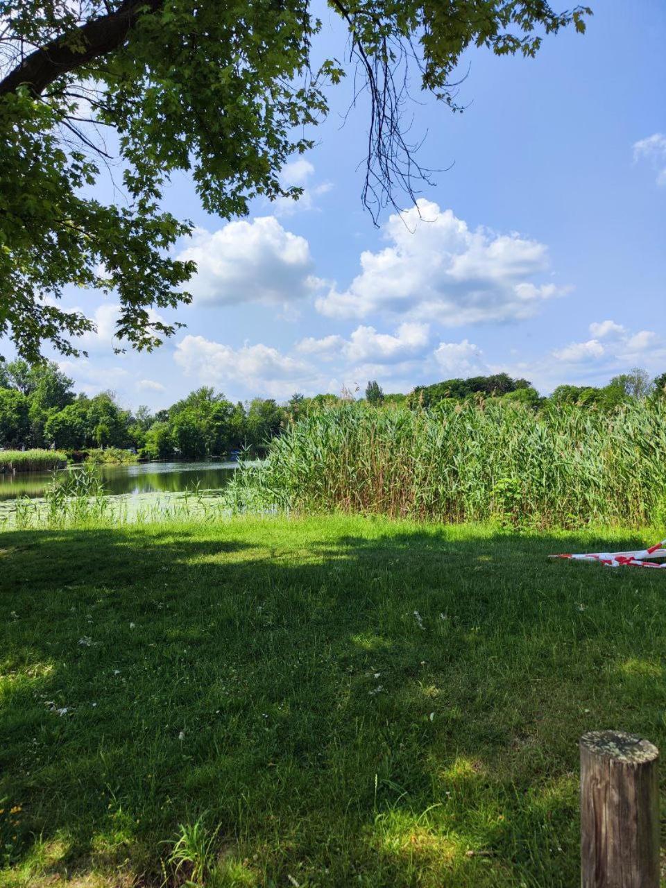 Ferienwohnung Mit Ausblick In Wimmelburg Extérieur photo