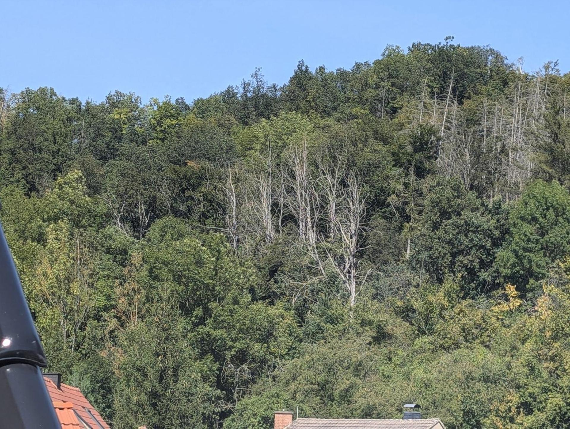 Ferienwohnung Mit Ausblick In Wimmelburg Extérieur photo